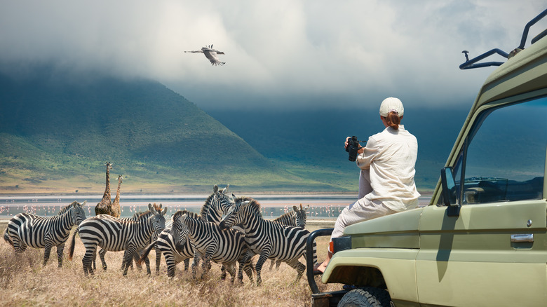 safari Traveler in white shirt  