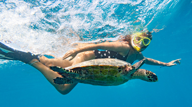 girl snorkeling with sea turtle