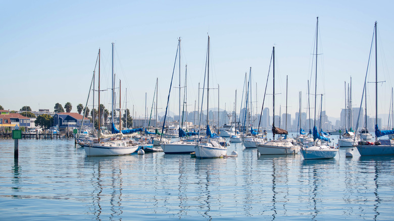 San Diego sailboats
