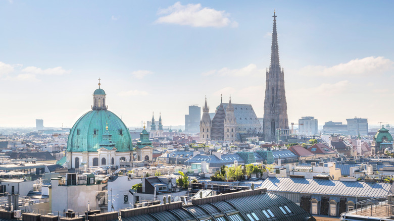 Vienna skyline with St. Stephen's Cathedral 