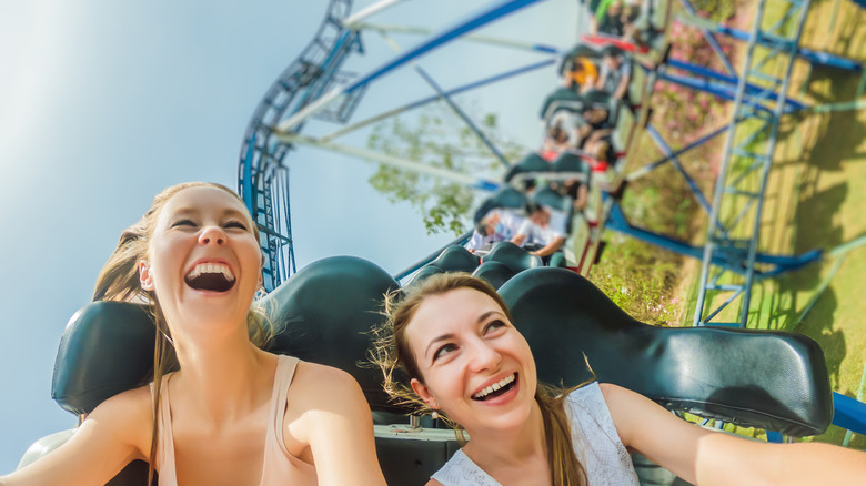 Friends enjoys a roller coaster