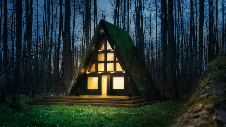 a triangle house in the woods